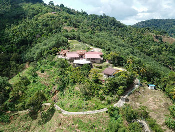 High angle view of trees and buildings