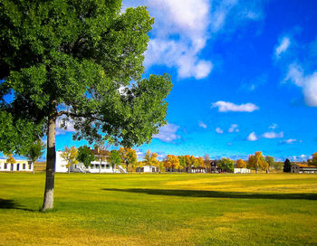 Trees on field against blue sky