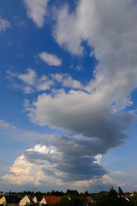 Low angle view of trees against sky