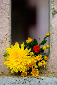 Close-up of yellow flower pot