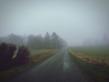 Road passing through forest