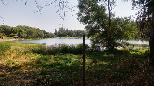 Reflection of trees in calm lake