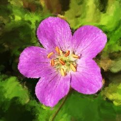flower