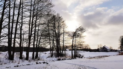 Bare trees on snow covered landscape against sky