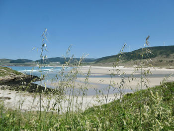 Scenic view of sea against clear sky