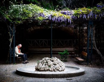 Rear view of woman sitting on bench