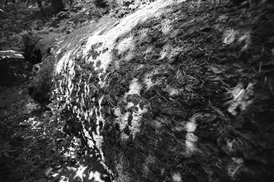 High angle view of rock formation in water