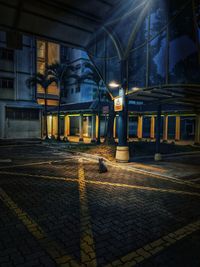 Illuminated street amidst buildings at night