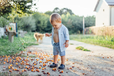 Full length of boy playing on plants