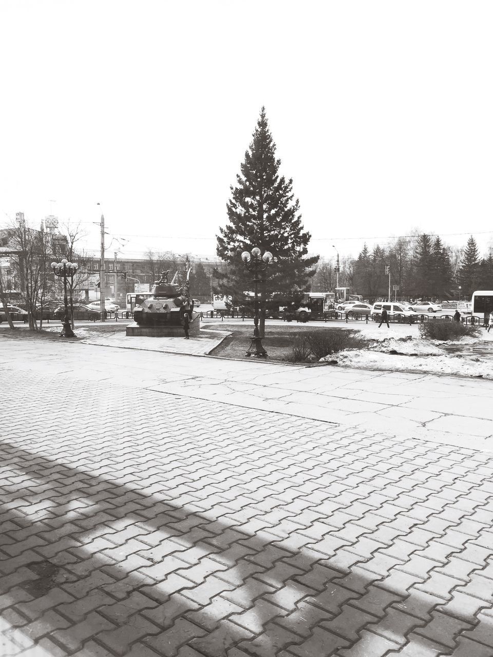 clear sky, tree, sunlight, cobblestone, water, footpath, street, transportation, sidewalk, nature, outdoors, empty, copy space, day, paving stone, tranquility, building exterior, the way forward, no people, incidental people