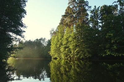 Scenic view of lake in forest against clear sky