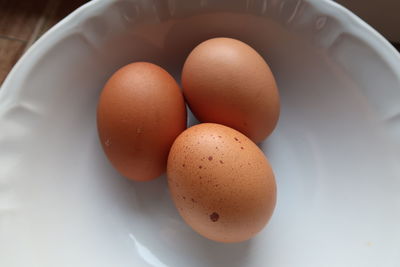 High angle view of eggs in bowl