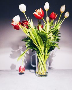 Close-up of tulips in vase on table