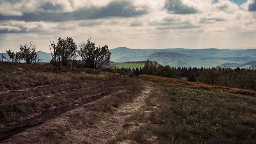 Scenic view of agricultural field against sky