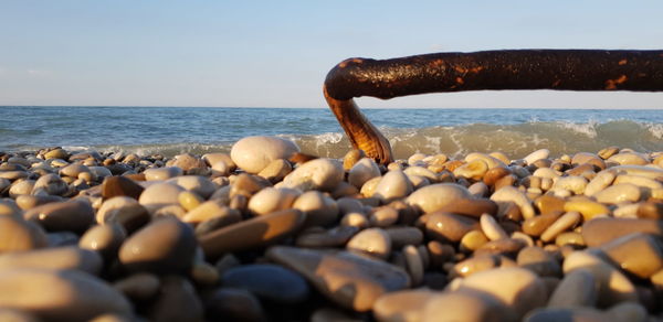 Surface level of pebbles and wood at beach against sky