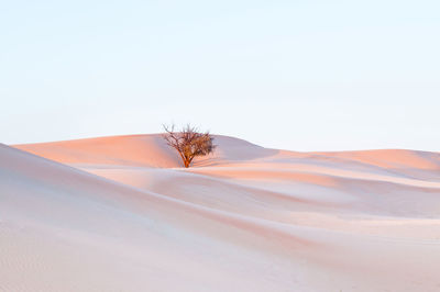 Scenic view of desert against clear sky