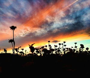 Scenic view of landscape against cloudy sky at sunset