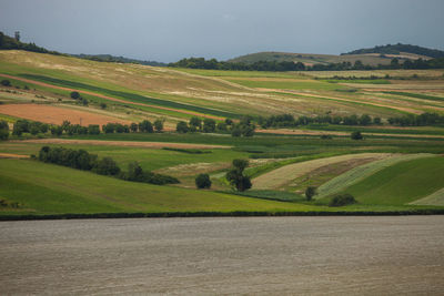 Rural fields and meadows from romania.