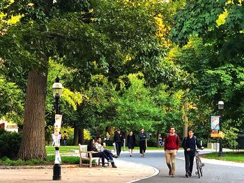 Rear view of people walking on street in park