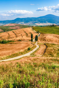 Scenic view of field against sky