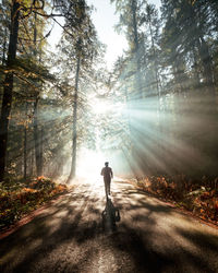 Rear view of man running on road amidst trees in forest