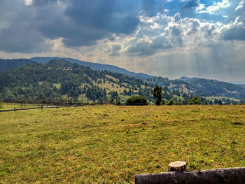 Scenic view of field against sky