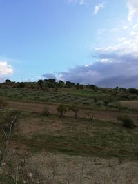 Scenic view of field against sky