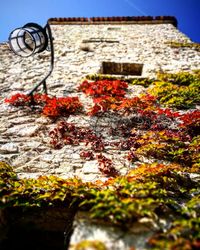 Low angle view of built structure