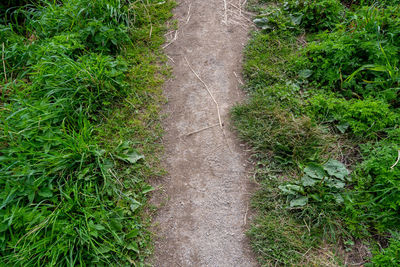 High angle view of footpath