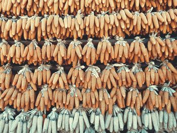 Full frame shot of corn for sale at market stall