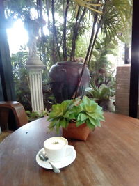 Coffee cup and potted plant on table