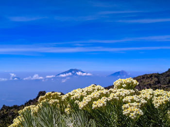 Scenic view of mountains against blue sky