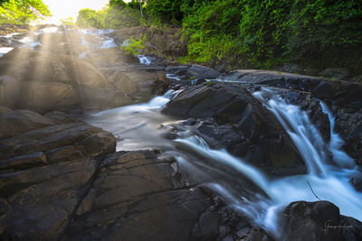 Scenic view of waterfall in forest