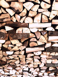 Full frame shot of logs in forest