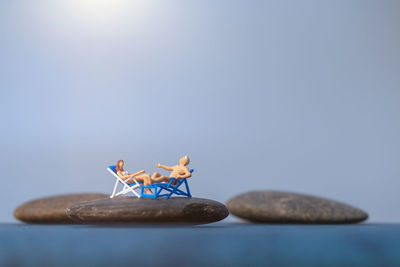Close-up of insect on table