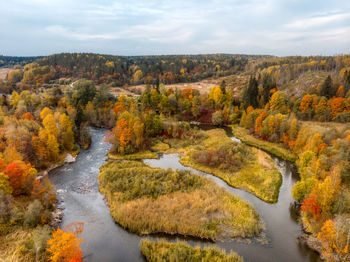 Aerial view on the river and various trees with orange, yellow and green leaves. karelian nature