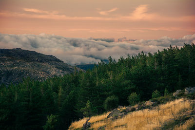 Scenic view of landscape against sky during sunset