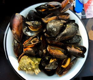 High angle view of mussels in plate