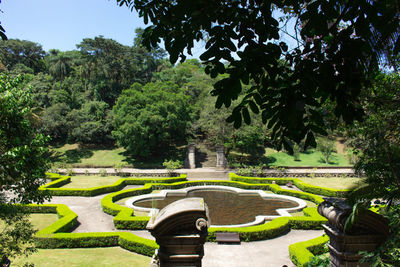 View of garden in park