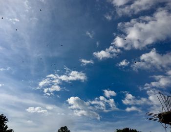 Low angle view of birds flying against blue sky