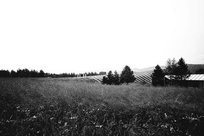 Scenic view of field against clear sky