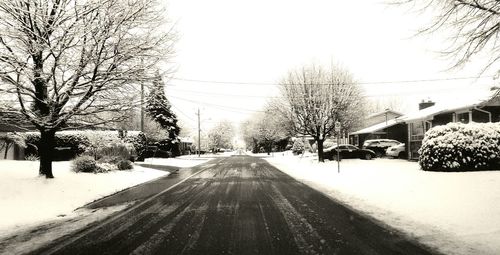 Empty road along bare trees