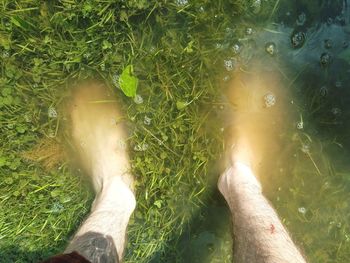 Low section of person on land