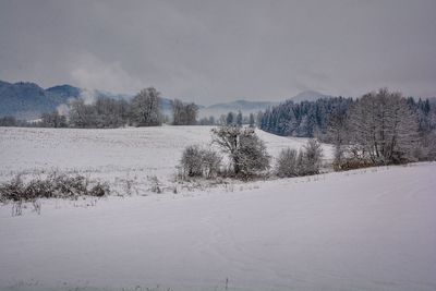 Scenic view of snow covered field against sky