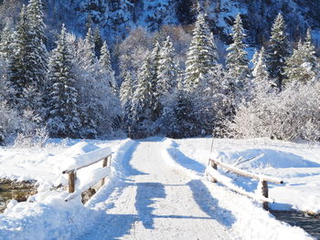 Snow covered field by trees during winter