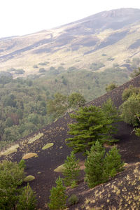 High angle view of mountains