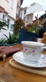 Potted plant on table in cafe against building