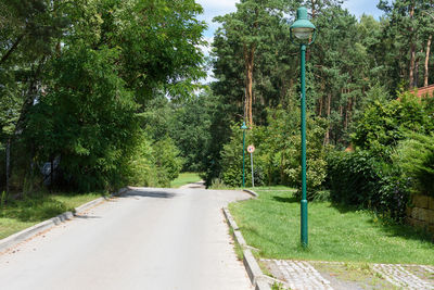 Street amidst trees in park