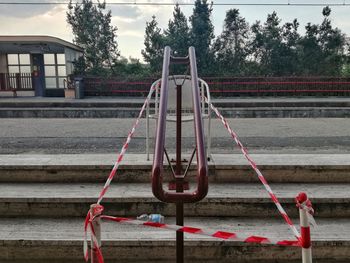 Close-up of tree against sky