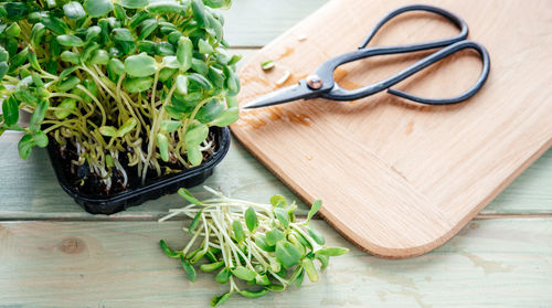 High angle view of vegetables on cutting board